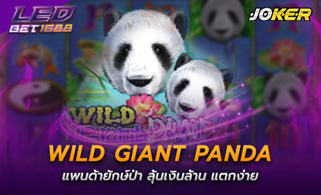 Wild Giant Panda จากค่าย joker123