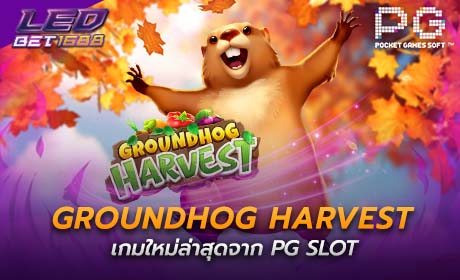 Groundhog Harvest จาก PG Slot
