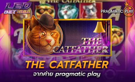 The Catfather Pragmatic Play