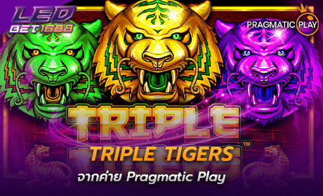 Triple Tigers จาก Pragmatic Play