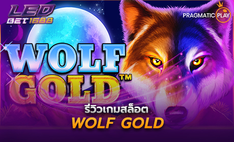 Wolf Gold จาก pragmatic play