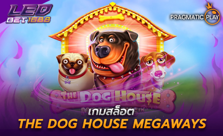 The Dog House Megaways จาก Pragmatic Play