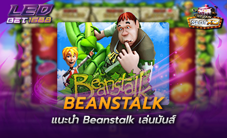 Beanstalk Slotxo Cover