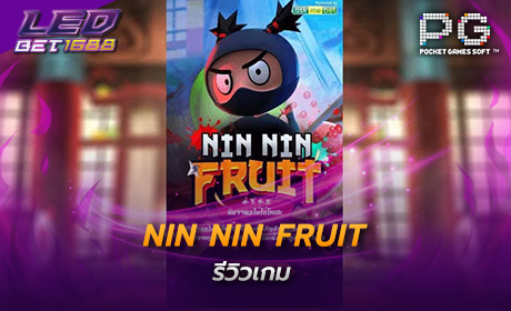 nin nin fruit PG Slot Cover