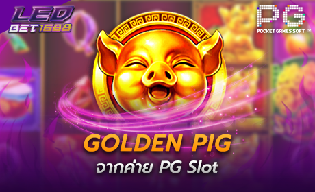 Golden Pig PG Slot Cover