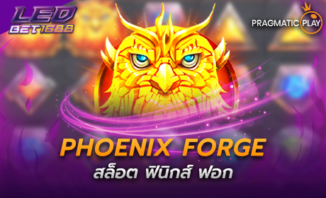 Phoenix Forge PP Slot