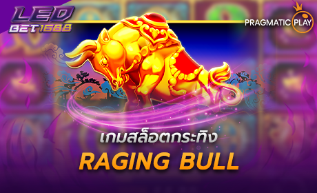Raging Bull PP Slot Cover