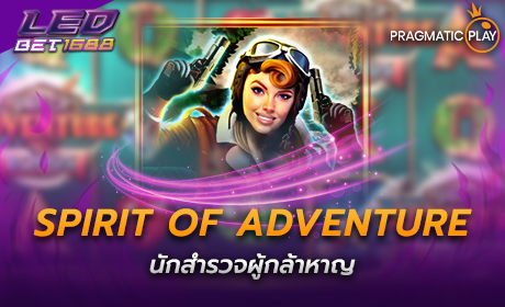 Spirit of Adventure PP Slot Cover