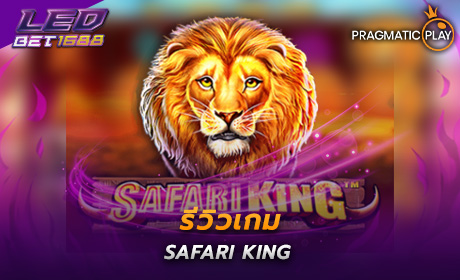 Safari King PP Slot Cover