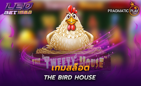 The Bird House PP Slot Cover